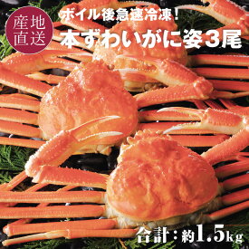 ズワイガニ ボイル 姿 3尾 合計約1.5kg カナダ産 本ズワイガニ姿ボイル済北海道 冬 ギフト ズワイ 茹で カニ 蟹 冷凍 送料無料