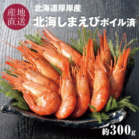 お歳暮 北海道 厚岸産 北海シマエビ 300g (14~15尾前後) ボイル済 冬ギフト 北海道産 北海しまえび(300g) 北海道産 ホッカイシマエビ(300g) 北海道でも一部でしか獲れない希少なエビ。 北海縞えび 御歳暮 ギフト 冷凍 送料無料