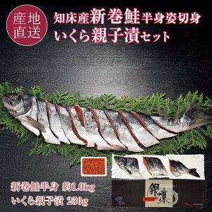 Ε mY VؐgEeqЃZbgIꂽVNȍ̔gpƐlĈeqЂ̃ZbgkCY V Cx eq Ε Mtg ~Mtg yz