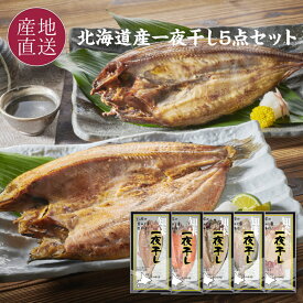 北海道産魚の一夜干し5点セット 真ホッケ一夜干し/真イカ一夜干し/サクラマス一夜干し/ナメタカレイ一夜干し/ニシン一夜干し お取り寄せ 母の日 父の日 ギフト 干物セット お礼 お祝い 内祝い ご飯のお供 送料無料