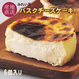 【先着で150円OFFクーポン配布中】バスクチーズケーキ 便利な個包装 6個セット 人気 濃厚ふわとろ食感 チーズケーキ 北海道産クリームチーズ使用 お取り寄せ バスク ケーキ ギフト お中元 お礼 スイーツ 小分け みれい菓 送料無料