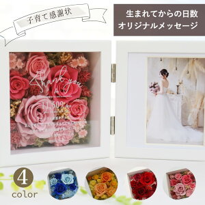 y}EcƓoׁzei  vU[uht[ tHgt[ ʐ^ v[g Mtg wGEex  e@ ʐ^  EGfBO IV 