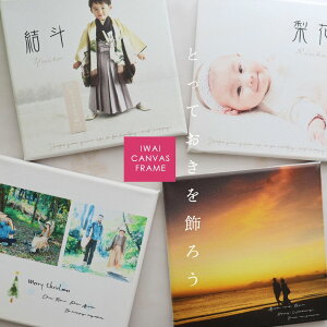 y} z y2Zbgz ܎O 753 v[g  ʐ^ hV Mtg LoXvg A[gpl tHgpl I[_[ ʐ^ LpX ܎O NX}X v[g 