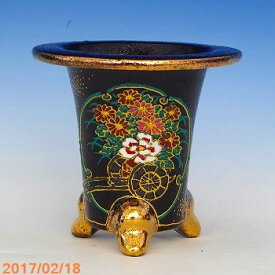楽天市場 万年青 の 鉢の通販