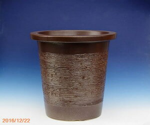 RQڌR 12ia37cm 37cmj@My AؔyzyYnzy ^ OzyR쑐 A T{e ~͔ Ԗ؎ؕc ʎc AKx 򍪐A A