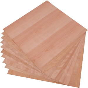 ISL VR؃V[ 0.45mm `F[ 50×50cm 10Zbg XCXEbh