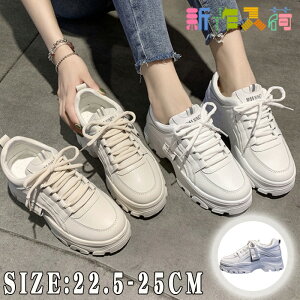 Xj[J[ fB[X V[Y _bh Xj[J[ ؍ EH[LOV[Y Cq[    킢 lC C  Xj[J[ ubN zCg sN x[W r 