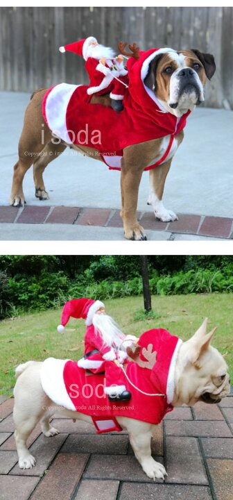 楽天市場 犬 犬服 冬服 サンタ コスプレ クリスマス 衣装 犬 猫 ネコ服 ペット服 トナカイ コスチューム サンタ服 Xmas服 人形 着ぐるみ ドッグウェア イヌ ドッグ 服 犬服 犬用品 仮装 変装 変身 かわいい 可愛い 小型犬 中型犬 大型犬 プレゼント