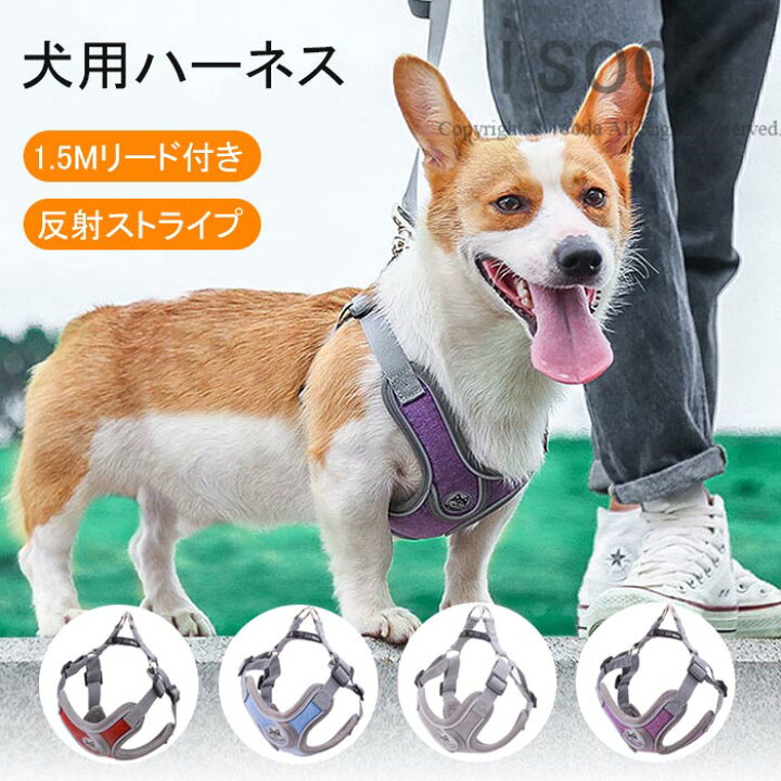 楽天市場 犬 ハーネス 一体型 ハーネス 小型犬 可愛い 犬 リード ハーネス セット ドッグ用品 ペット用品 犬 リード ロープ 犬用ハーネス 犬具 ハーネスリード 小型犬 首輪 リードセット 簡単装着 お散歩 犬 ハーネス 小型犬 お出かけ 中型犬 ペット ペットグッズ 犬