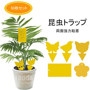 I gbv Sgbv gbv ߂SV[g Q΍ QS^ubg ʔS h S ȒPt K[f 50  L Q쏜 S ȒPt nG