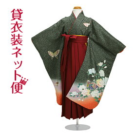 楽天市場 七五三 女の子 袴 着付けの通販