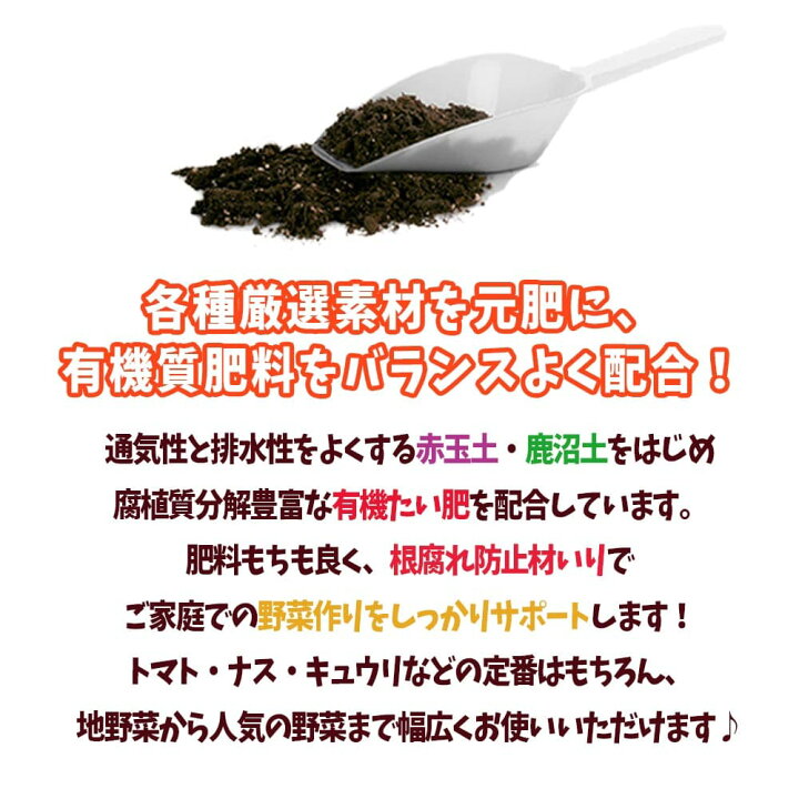 楽天市場 送料無料 野菜 ハーブ用 培養土 野菜を美味しく育てる培養土 25l袋 1個 即出荷 野菜 ハーブ ポット 培土 果樹 花 観葉植物 園芸 培養土 育苗 土 鉢 土 農家 農場 農園 肥料 プロ仕様 種まき 植物販売のｉｔａｎｓｅ楽天市場店