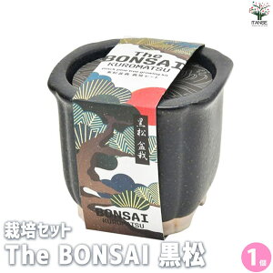 yz͔|Zbg The BONSAI  ~ 1 ͔| ȒP S ͔|Lbg ĕ  [