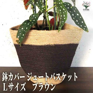 y}\N[|zzzJo[ W[goXPbgLTCY uE Jo[  Ch  AWA  ^ ^ ^ pb`[N Jo[ A    [