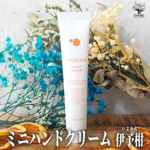 yz~jnhN[20g IYOKAN ( ɗ\ ) nhN[ XLPA nhPA ~jTCY RpNg gїp  [