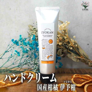 yznhN[75g IYOKAN ( ɗ\ ) nhN[ XLPA nhPA ~jTCY RpNg gїp  [