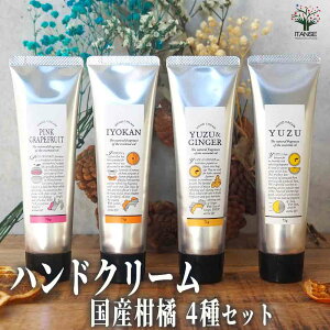 yznhN[75g Yk4Zbg nhN[ XLPA nhPA ~jTCY RpNg gїp  [