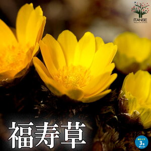 yz ( tNW\E ) ԕc 3|bg tNW\E   tA ԕc  h N |i A  [