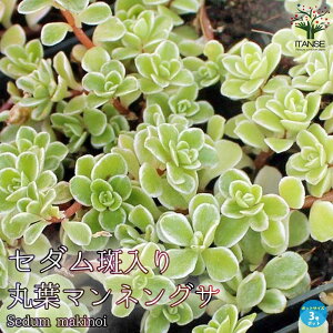 y}\ԁ|Cg5{zZ_ ۗt}lOT ԕc A OhJo[3|bgc Z_ ϗtA rO ItBX  CeA  [