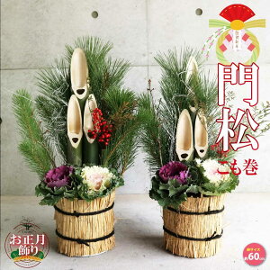 yz 叼 ( ǂ܂ )   ( TCYC[WF60`70cm×27`37cm×s24`27cm )  }t  񂹐A AW _X^C  N t