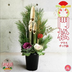 yz 叼 ( ǂ܂ ) vX`bN  ( TCYC[WF75cm×35`38cm×s25cm )  }t  񂹐A AW _X^C  N t