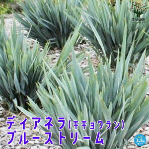 yzfBAl ( LLE ) u[Xg[ NJ[[t I[i^vcc ԕc 3.5|bg j[ ( LLE ) AfBAl {^ u[Xg[