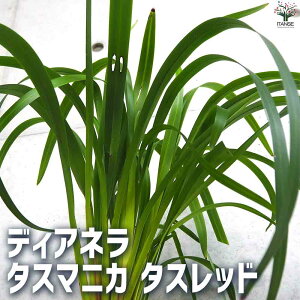 y}\N[|zzzfBAl ^X}jJ ^Xbh ԕc 5|bg ԕc Ԃ̕c j[ LLE OhJo[  [