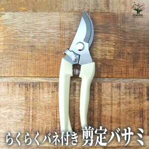 ySSԑSi10OFFz炭炭olt oT~ |p͂ |ObY ΂ ͂  | |pi nT~  K[fjO G  [