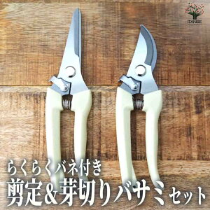 yz炭炭olt 聕؂oT~Zbg |p͂ |ObY ΂ ͂  | |pi nT~  K[fjO G  [