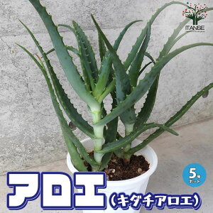 yzؗAG ( L_`AG ) n[u̕c 5 AG L_`AG ҂炸 p Hp herb n[u n[uc A  [