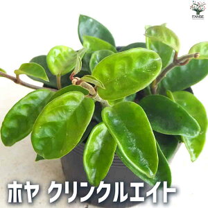 yzϗtA z NCNGCg ϗtA 4 rO ItBX  CeA ^  S Ă₷ K[fjO j j Vzj zj j