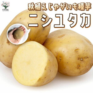 yzjV^J HAႪ̎  Ⴊ WKC Ⴊ  킢 ˂ AfX HA ؎ jV^J L HAn鏒 Hn鏒 ΂ꂢ