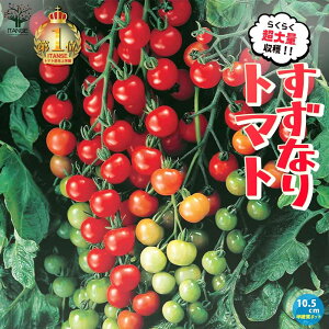 yzꂵɂȂg}g̕c ( ԃ~jg}g ) 10.5cmd|bgc ؕc ~jg}gc ݂ɂƂ܂ƕc v`g}gc x_ In͔| tomato n  [