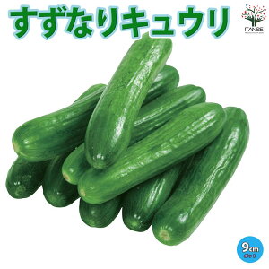 yzȂLE 9cm|bgc ؕc LEc イc ӉZc x_ In͔| nEX͔| lC  i Vs n ESȂ  [