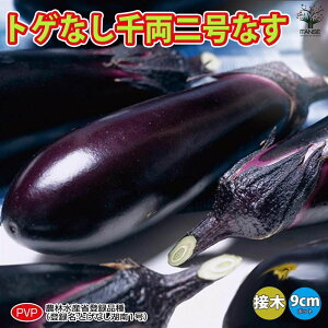 yzƂȂ痼񍆂Ȃ ږؕc  ږؕc9cm|bg iXc Ȃc ؕc x_ In͔| x_؉ t Ė ڂؕc ֎q  iXr ߐ{ Ȃ  [