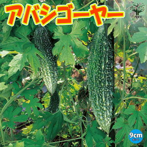 yzAoVS[[ Z ؕc9cm|bg S[c [c Zc jKE ɂ E O[J[e In͔| x_؉ n ΂̃J[e c lCi 