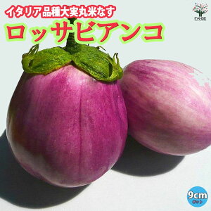 yzbTrAR ( C^AiەĂȂ ) 9cm|bgc ؕc iXc Ȃc iXrc Ȃѕc ֎qc x_ ȂiX  [