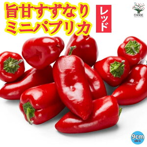 yz|ÂȂ ~jpvJ bh c9cm|bg Ԏ ؕc pvJc ςՂ肩c s[}c x_؉ n paprika  [