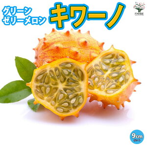 yzL[m O[[[c c9cm|bg ؕc ʍ L[mc [̕c x_ In͔| O[J[e ΂̃J[e E  [