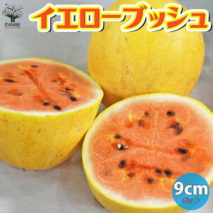 yzCG[ubV XCJc c9cm|bg ؕc c Zc x_ In͔| ʎc E lC Â i   [