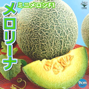 yz~j F1 [i c9cm|bg ؕc c ߂c rZc x_ In͔| ʎc lC Â i   [