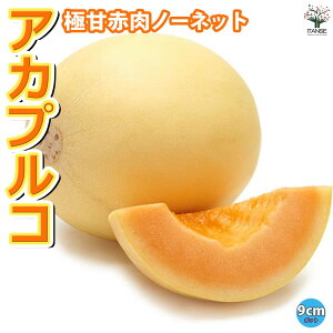 yzɊÐԓm[lbg ( i:AJvR ) c9cm|bg ؕc c ߂c rZc x_ In͔| ʎc lC   [