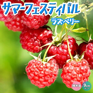 yzYx[̕c T}[tFXeBo ʎc 1N }ؕc9cm|bg Yx[c x[c Yx[̕c Yx[̕c LC`S̕c ؂  _ A  