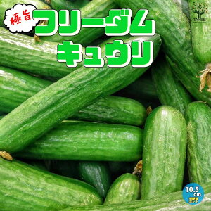 yzイ̕c Ɏ|t[_イ ؂̕c 10.5cm|bg c イc LEc ӉZc ؕc ƒ؉ n x_؉ t Ė K[fjO ƒ؉ 