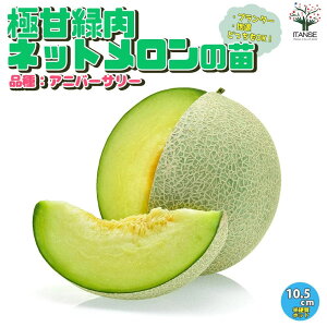 yz̕c v^[łnłOKI炭炭Ɋ×Γlbg ؂̕c 10.5cm|bg c Γ lbg ؕc  ʕ ʎc K[fjO ƒ؉ L
