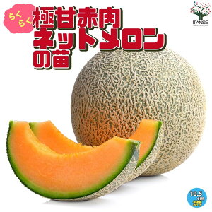 yz̕c 炭炭ɊÁIԓlbg ؂̕c 10.5cm|bg c ؕc  ʕ ʎc K[fjO ƒ؉ x_ n v^[ x_؉ ƒ