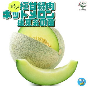yz̕c 炭炭ɊÁIΓlbg Čn ؂̕c 10.5cm|bg c Γ lbg ؕc ʕ ʎc K[fjO ƒ؉ n v^[ x_؉ 