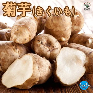 yzLNC ؂̕c 9`10.5cm|bgc oc e  LNC e̕c ̕c ec c AJC u^C T`[N GTA[eB`