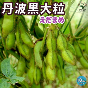 yzOg 嗱 } }̕c ؂̕c 10.5cm|bg }c }̕c ܂߂̕c ̕c 哤  ؕc ȒP͔| ƒ؉  [