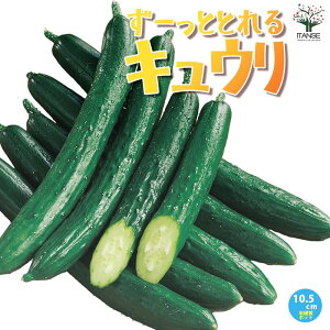 yz[ƂƂLE̕c ؕc10.5cm|bg c イc LEc ӉZc ƒ؉ K[fjO x_ In͔| ȒP͔| A v^[ Ԏn 